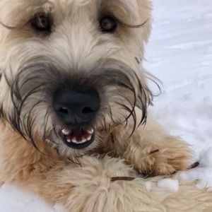 Meet your Posher, Julie